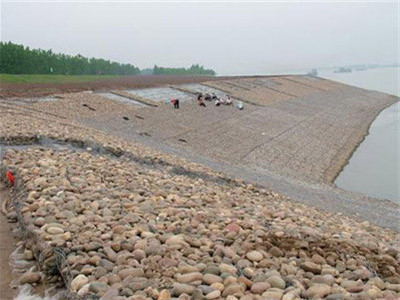 河道護(hù)坡雷諾護(hù)墊圖片2 河道護(hù)坡雷諾護(hù)墊圖片2