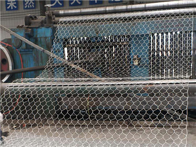 石籠網(wǎng)圖片4 石籠網(wǎng)圖片4