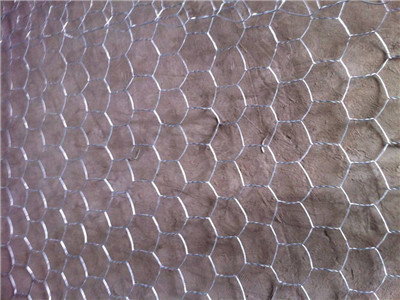 鍍鋅石籠網(wǎng)圖片4 鍍鋅石籠網(wǎng)圖片4
