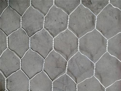五擰石籠網(wǎng)圖片4 五擰石籠網(wǎng)圖片4