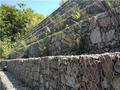 格賓網(wǎng)圖片1 格賓網(wǎng)圖片1