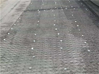 加筋格賓網(wǎng)圖片3 加筋格賓網(wǎng)圖片3