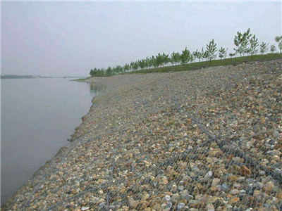 鍍鋅雷諾護(hù)墊案例圖片3 鍍鋅雷諾護(hù)墊案例圖片3